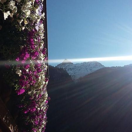 S' Ludwign Haus Apartman Sankt Leonhard im Pitztal Kültér fotó
