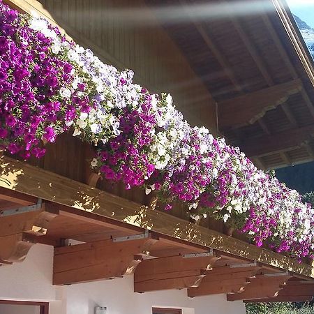 S' Ludwign Haus Apartman Sankt Leonhard im Pitztal Kültér fotó